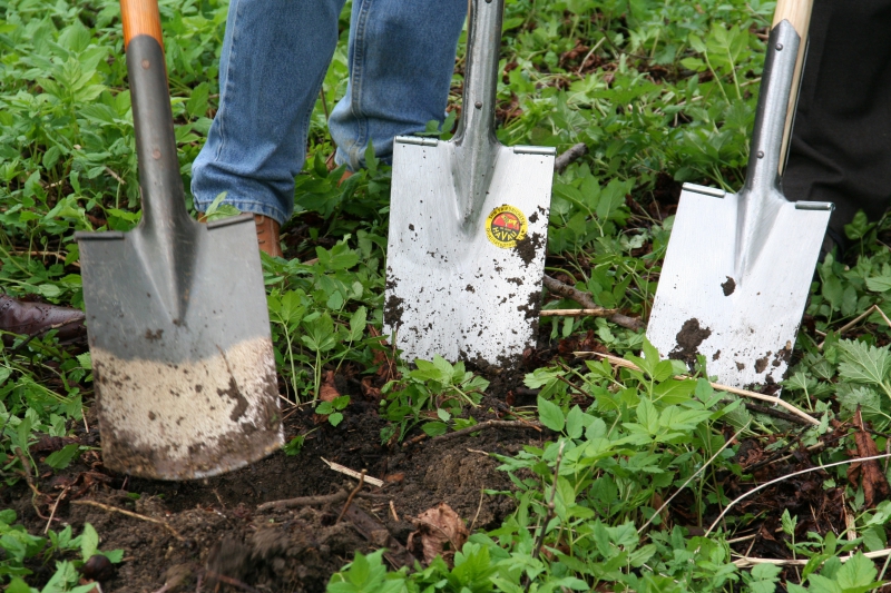 pepiniere-LE CANNET-min_work-lawn-flower-tool-green-backyard-1103633-pxhere.com